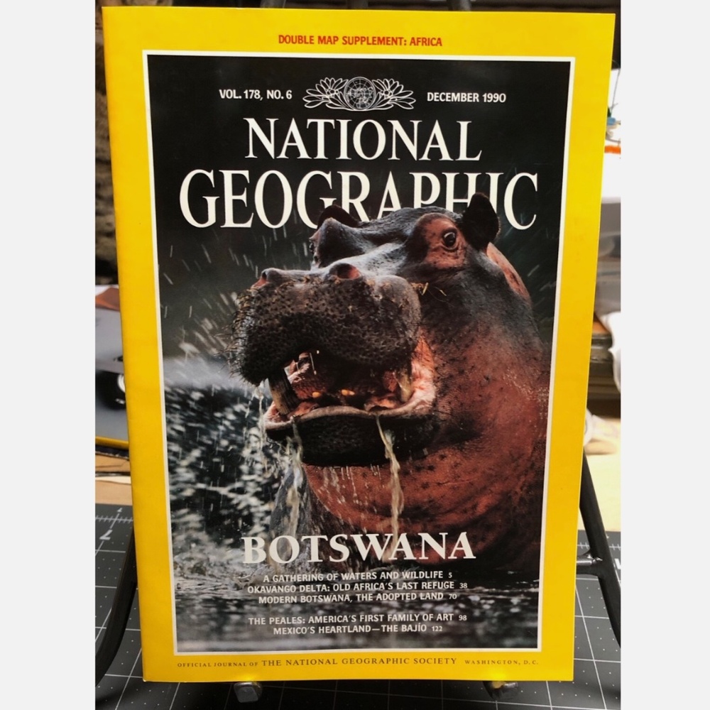 3/$16 VTG Nat'l Geographic Mag DEC 1990 Vol.178 #6 Botswana/Africa Map Poster